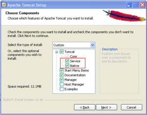 ApacheTomcatSetup-ChooseComponents.png