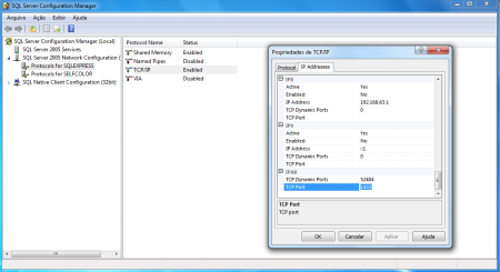 Sql server porta dfe.png